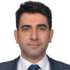 ALİ ARI